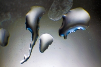 Raindrop Marty