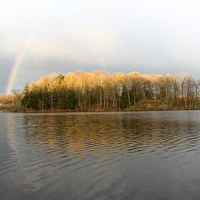 Wet Gold