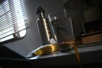 Views from the Sick Bed