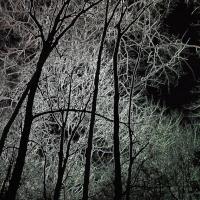 Night Terrors