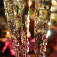 Icy Fingers