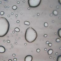 April Shower