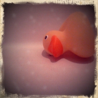 Ducky