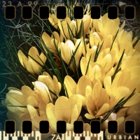Signs of Spring
