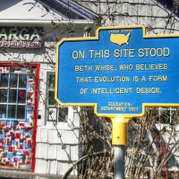 On This Site