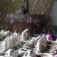 Seeding