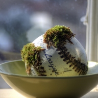 Slow Ball