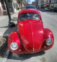 The Bugs Are Out