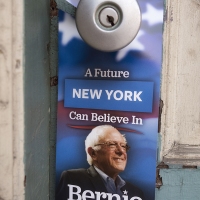 Bernie Blitz