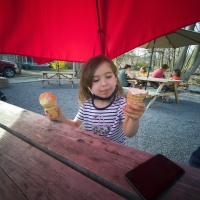 It\'s Soft Serve Season!