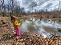 Fishing in Beaver Pond
