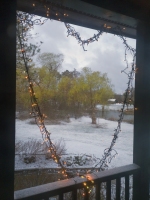I ♥ Spring