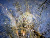 Run Silent, Run Deep