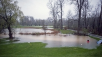 April Showers