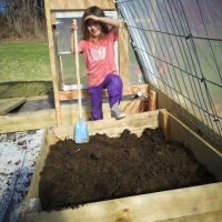 Hard At Work
