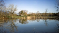 Still Waters