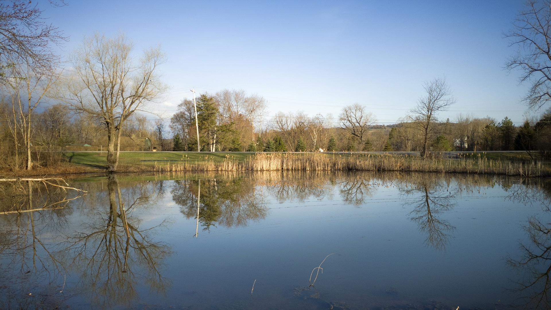 Still Waters