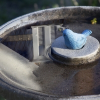Splash Pad