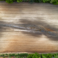 Glitch Field