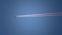 High Flying Bird
