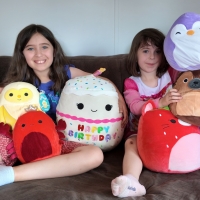 Emergency Squishmallow Delivery