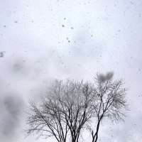 April Showers