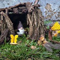 Better Gnomes & Gardens