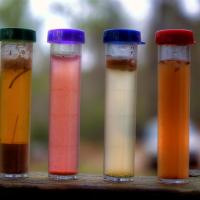 Soil Test