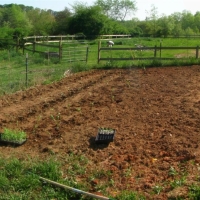 Garden 1.0