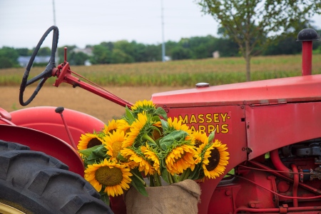 Farm Stand Décor