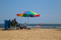 Beach Life