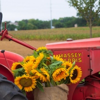 Farm Stand Décor