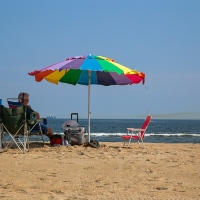 Beach Life