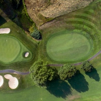 Fore