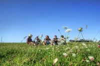 Field of Dreams