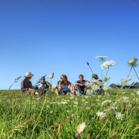 Field of Dreams