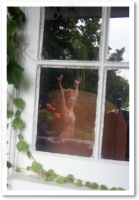 Picture Window
