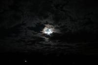 Moonlit
