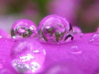 Little Lenses