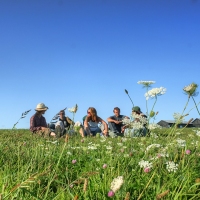 Field of Dreams