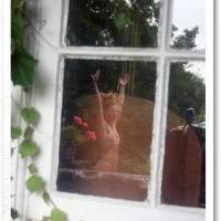 Picture Window