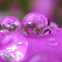 Little Lenses