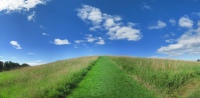 Climbing Burger Hill