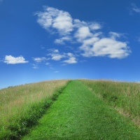 Climbing Burger Hill