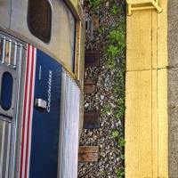 Walk the Line
