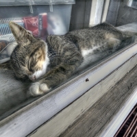 Nap Time