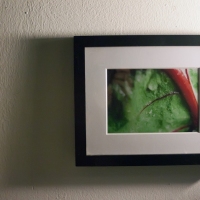 Picture in Picture