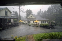 August Showers