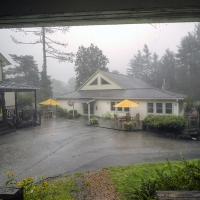 August Showers