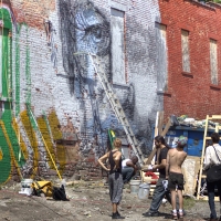 Living Walls Albany